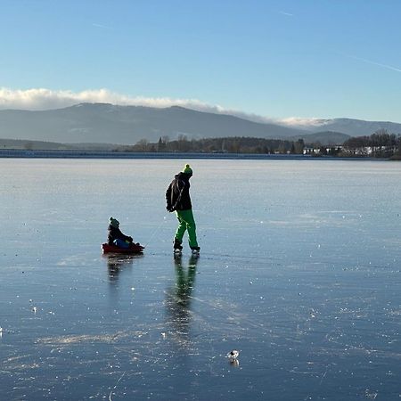 Unique Lipno Apartment Černá v Pošumaví Exteriör bild