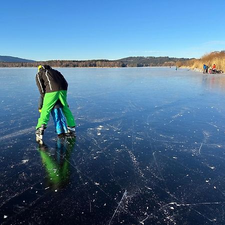 Unique Lipno Apartment Černá v Pošumaví Exteriör bild