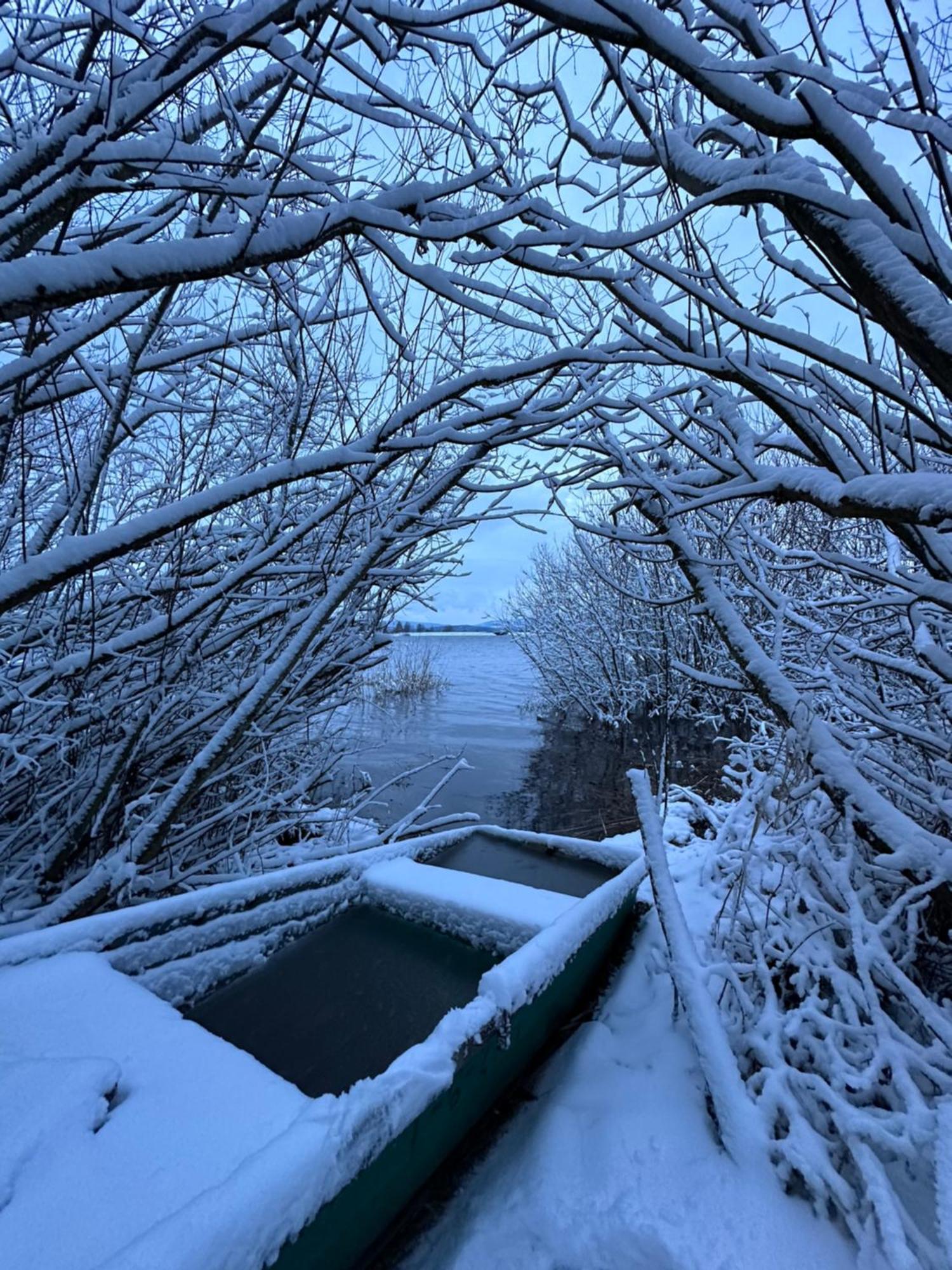 Unique Lipno Apartment Černá v Pošumaví Exteriör bild